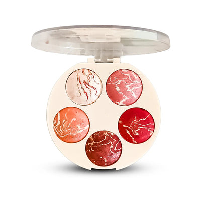 MSYAHO 5 Color Terracotta Blusher & Highlighter